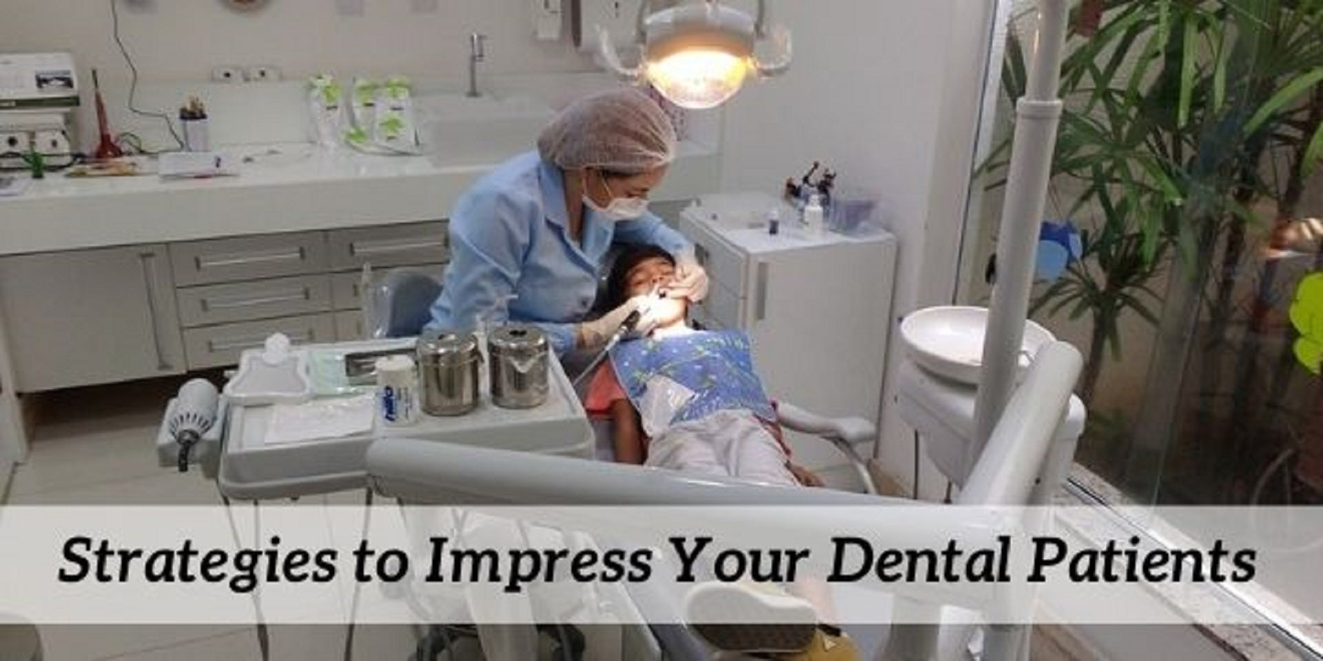 dentist and patient dental strategies
