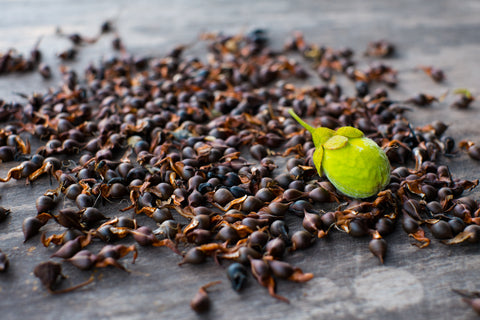 How Agarwood Oil Is Effective