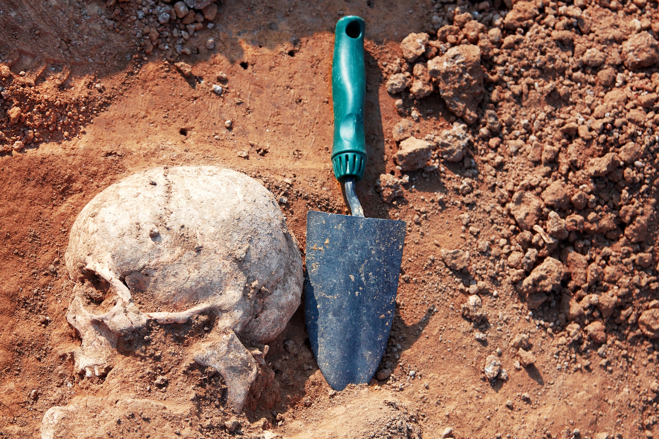 Ancient Molars: What Newly Discovered Fossils Have To Say