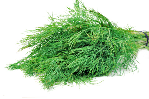 The Unknown Benefits Of Dill Oil