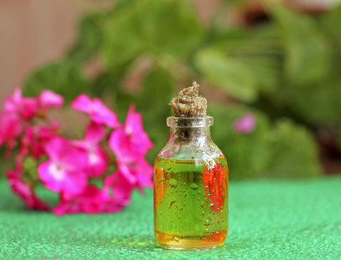 Amazing Geranium Oil Benefits