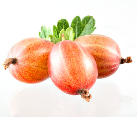 Gooseberries Have High Antioxidant Levels