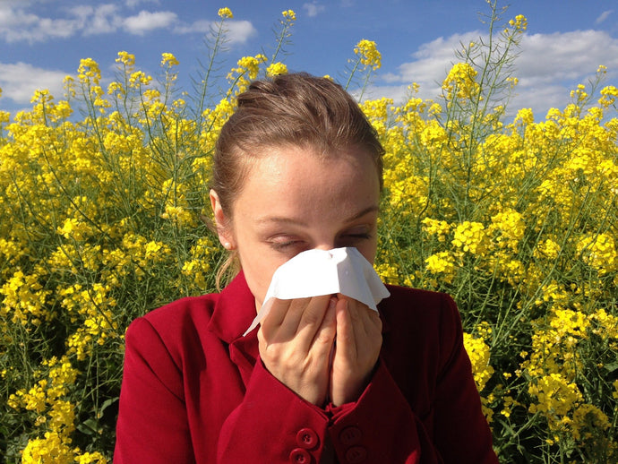 Signs You Might Have Allergens Inside Your Home
