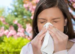 Preventing Fall Allergies