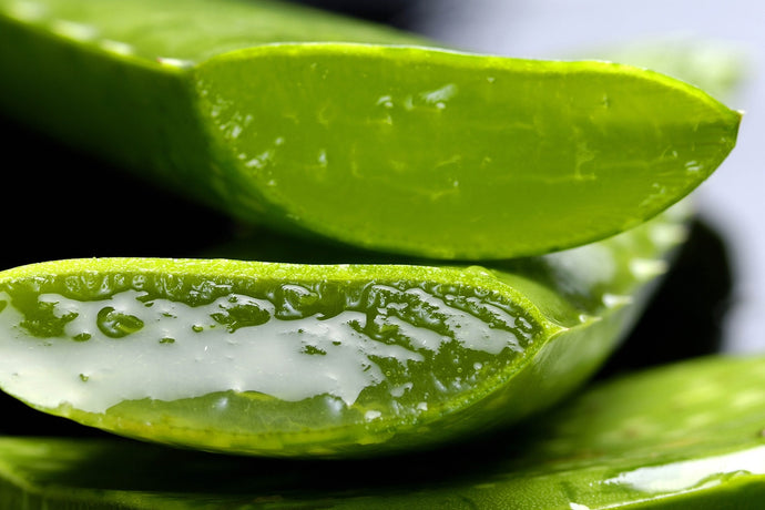 Practical Ways To Use Aloe Vera For Health And Beauty