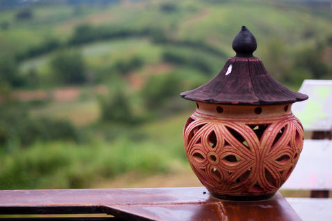 What Is A Borneo Tallow Nut?