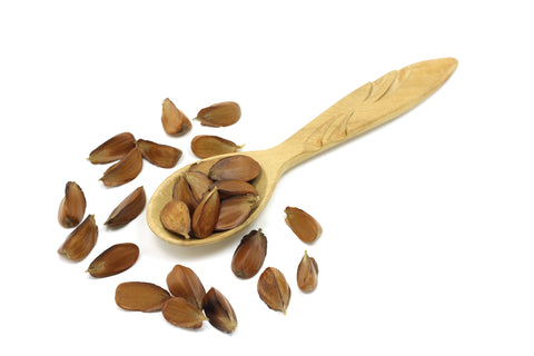 Beech Nut Oil Benefits