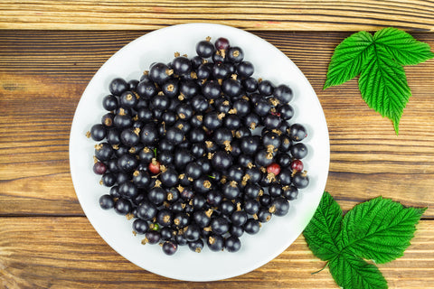 a plate full of blackcurrants - a vitamin C rich food for staying healthy and energetic