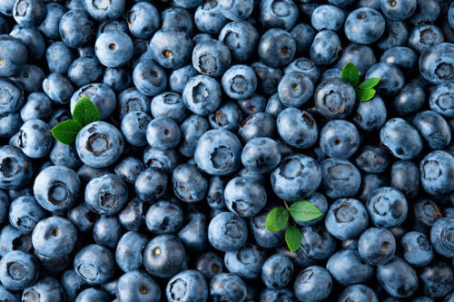 Blueberry Activates Memory Cells