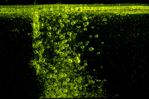 Benefits Of Cajeput Essential Oil