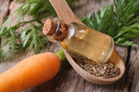 The Benefits Of Carrot Seed Oil