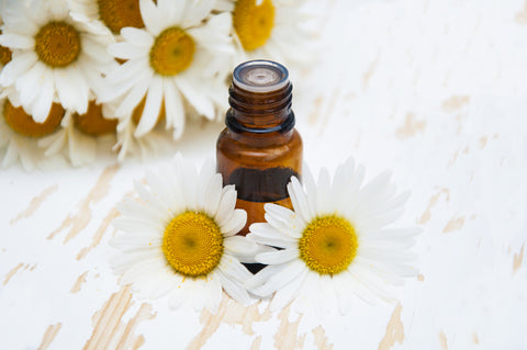 Chamomile Oil For Hair And Skin
