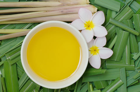 Why You Should Be Using Citronella Oil