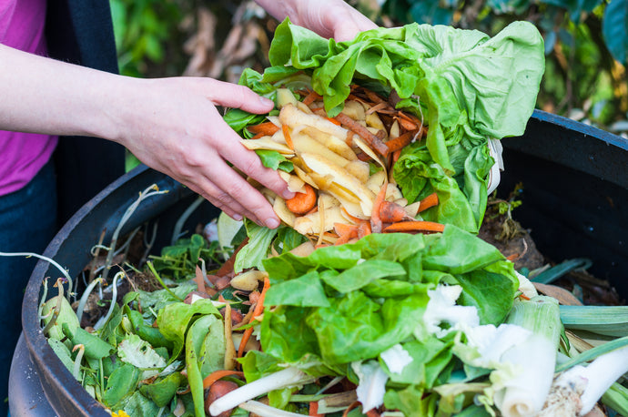 Composting May Prompt People To Embrace Other Eco-Friendly Choices