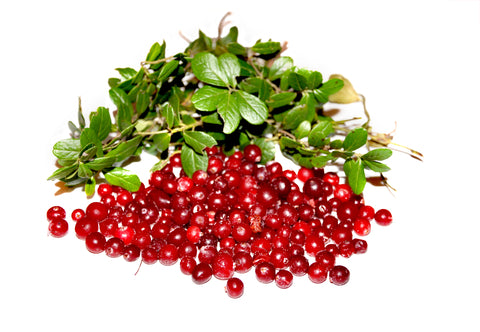 Fun Facts About Cranberries For Thanksgiving