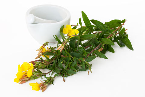 Evening Primrose Oil For Eczema