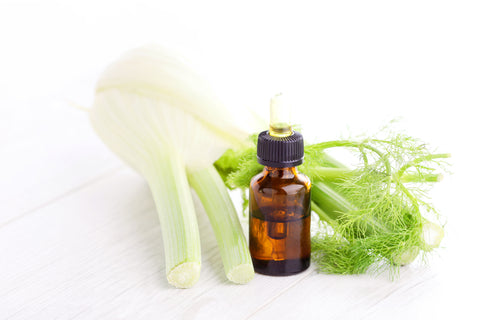 Fennel Essential Oil Benefits