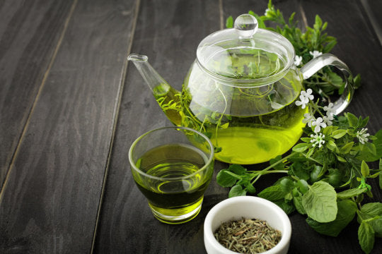 Green Tea: The Secret Antidote To Impaired Memory And Obesity?