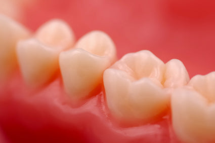 close up look of healthy gums