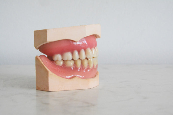 Why Your Gums Are So Important