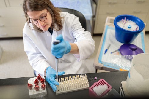 How Your Oral Health Affects Your Overall Health