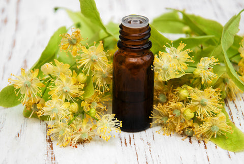 Trusty Linden Oil And Why You Need Some