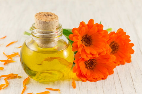 Key Benefits Of Marigold Oil