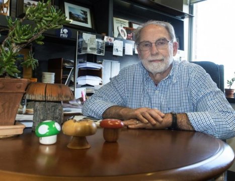 The Potential Anti-Aging Properties Of Mushrooms