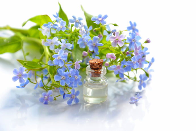 Using Organic Essential Oils To Rejuvenate Your Skin