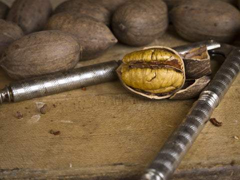 Pecans Improve Cardio-Metabolic Health Markers In Overweight Adults