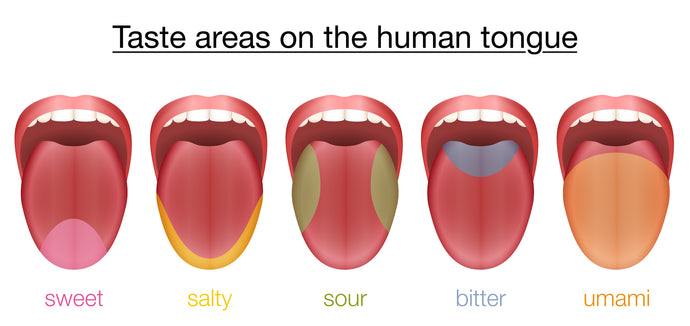 Tongue Function: Keeping Tastes Straight