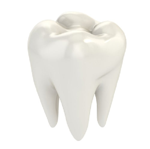 loose tooth things to know about