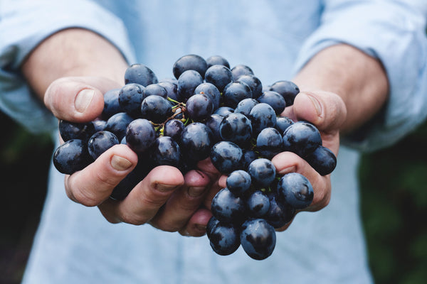 hand full of grapes